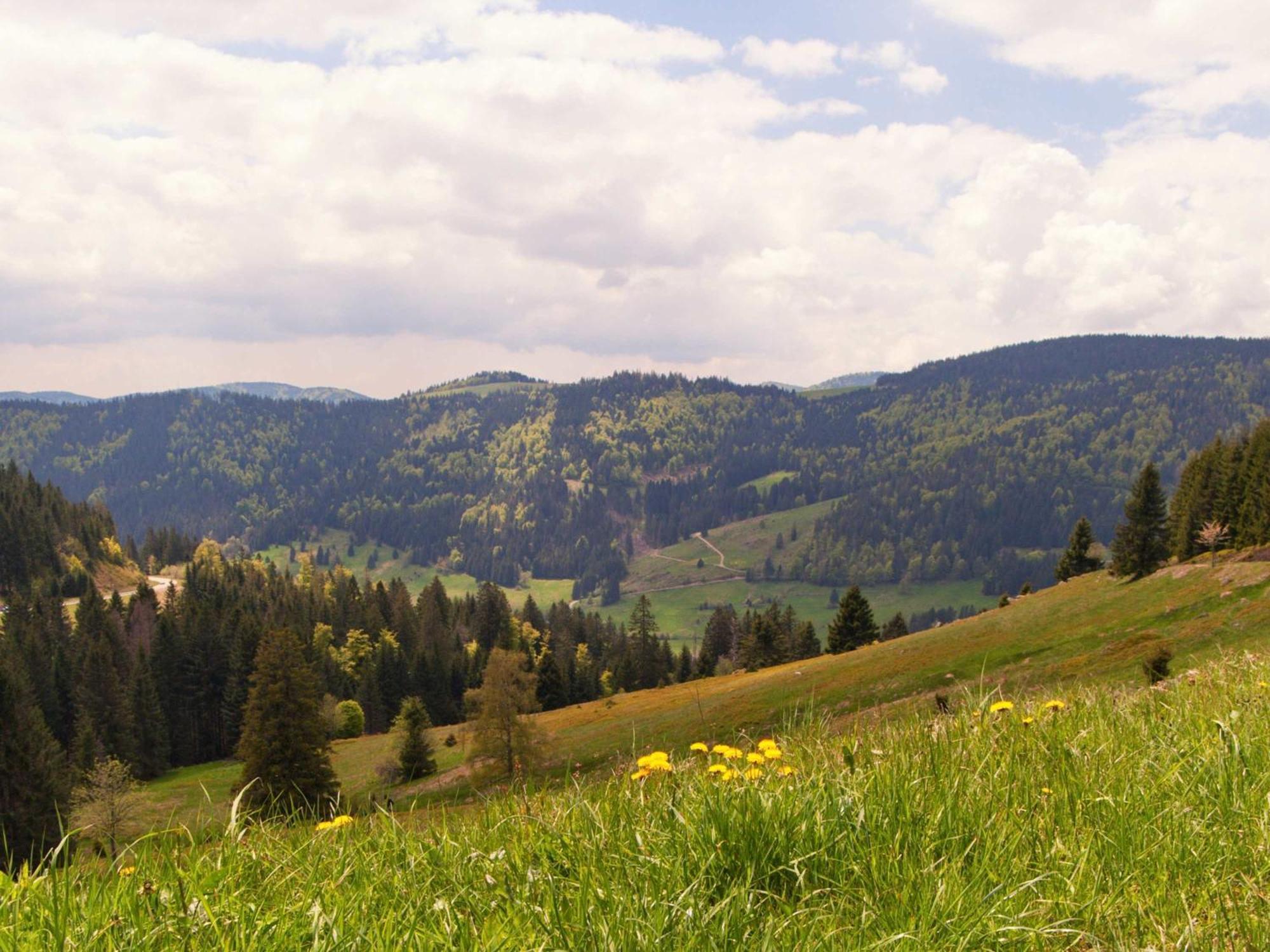 Relaxapartments Black Forest Moments - Maisonette-Wohnung Mit Sonnenbalkon, Schnelles Internet, Naehe Triberger Wasserfaelle, Fuer Bis Zu 4 Personen Schönwalde Esterno foto
